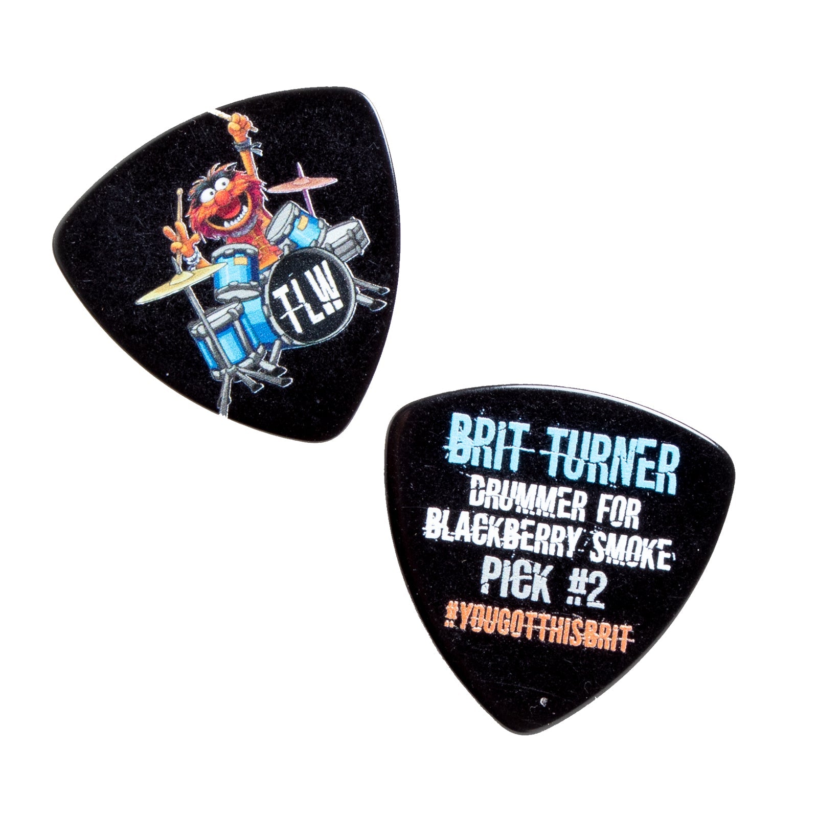 Metallica guitar picks -  Canada