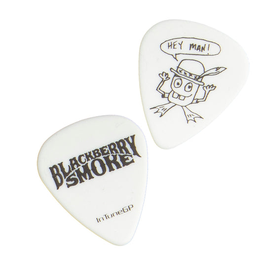 2 Hey Man Guitar Picks